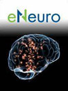 Eneuro