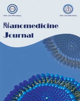 Nanomedicine Journal