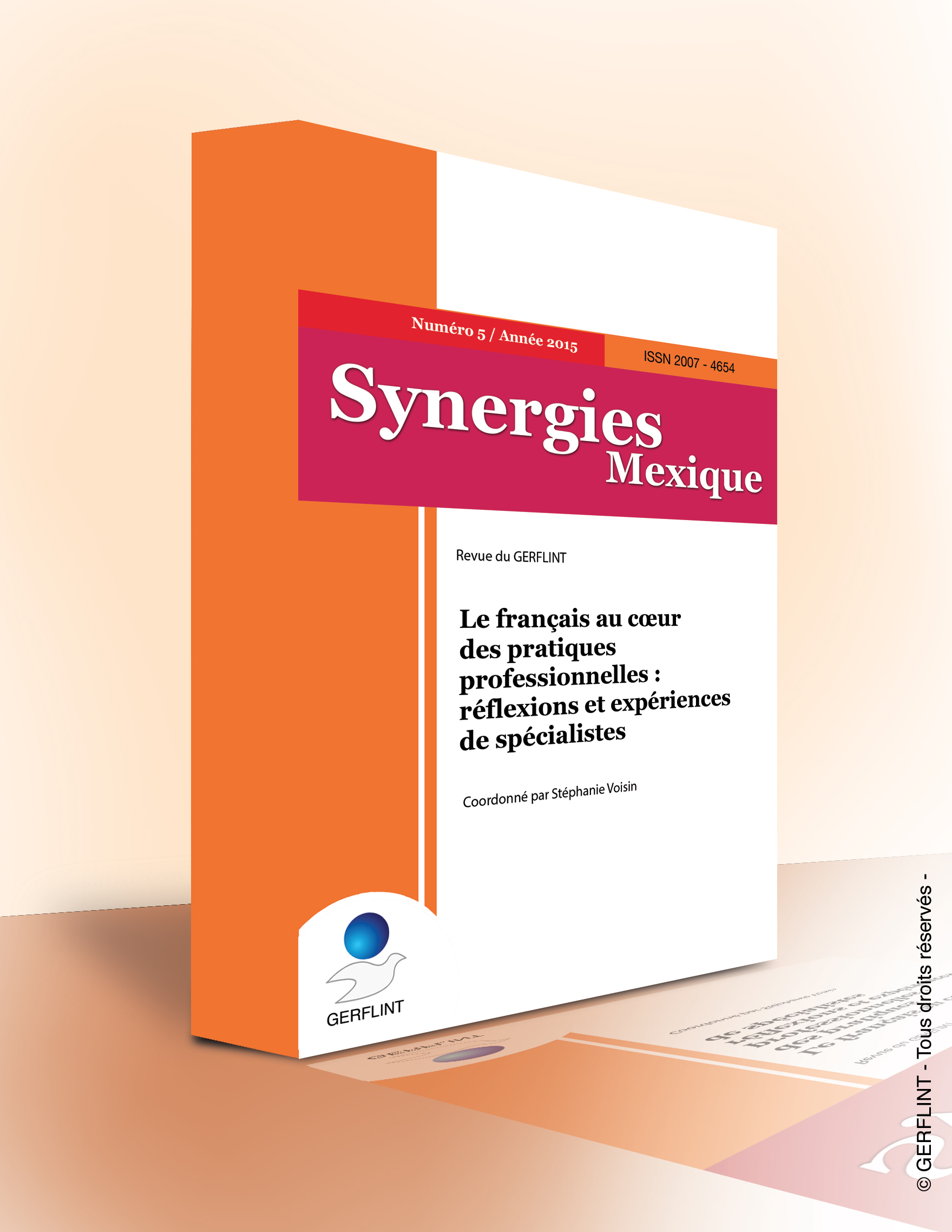 Synergies Mexique